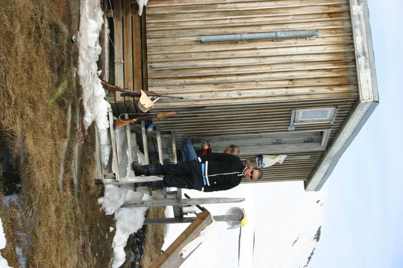 Kap Stewart 047.jpg